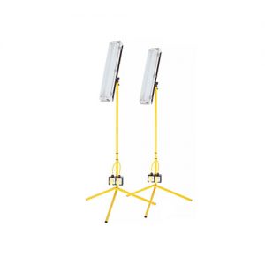 Double Fluorescent Floodlight