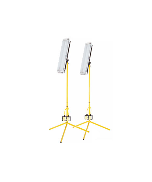 Double Fluorescent Floodlight