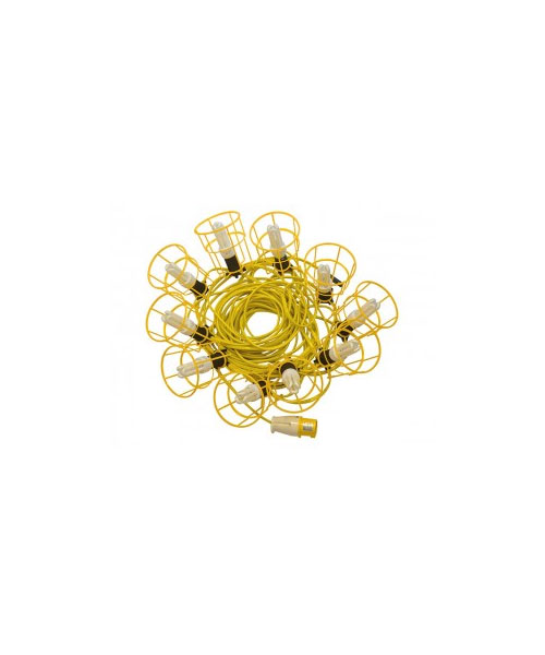 Festoon Lighting 110v